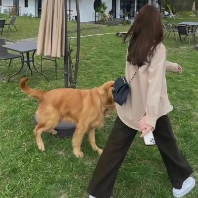 慈母杀心